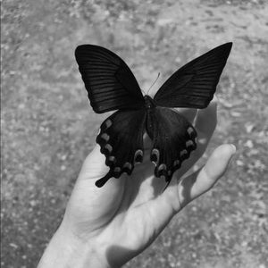 Meet your Posher, Isabel